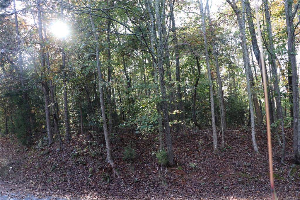 0 Mcfalls Circle - Photo 1