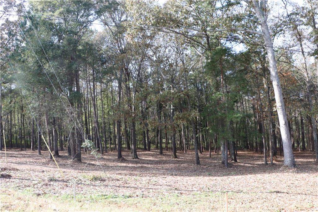 0 Brown Road - Photo 1