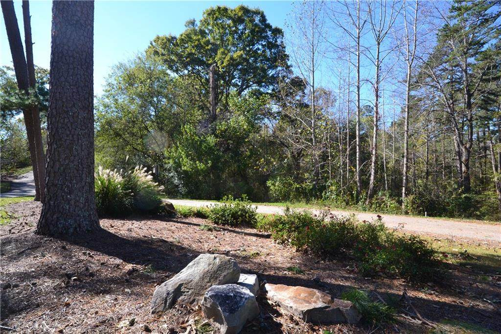 101 Timber Ridge Trail - Photo 1