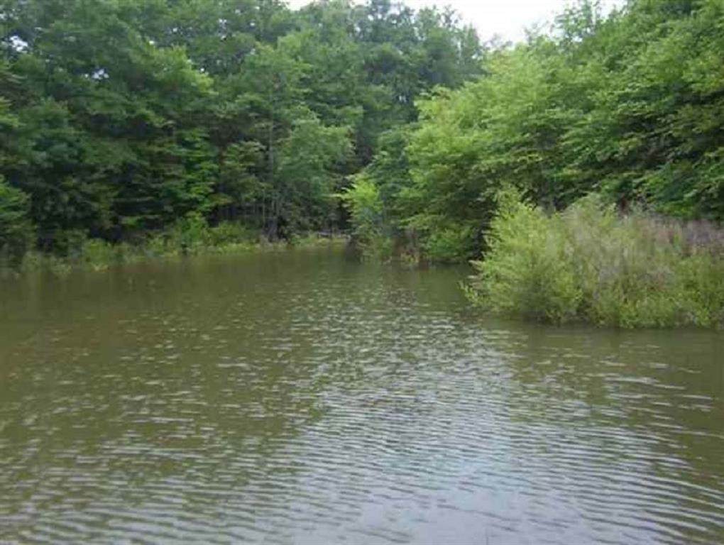 Lot 13 Madison Shores Drive - Photo 1