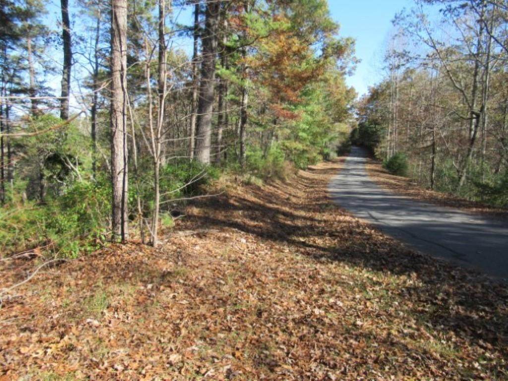 260 Eastatoe Parkway - Photo 1