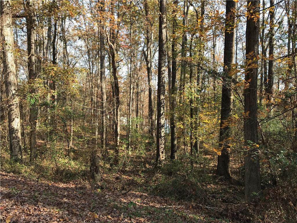 00 Lakewood Drive - Photo 1