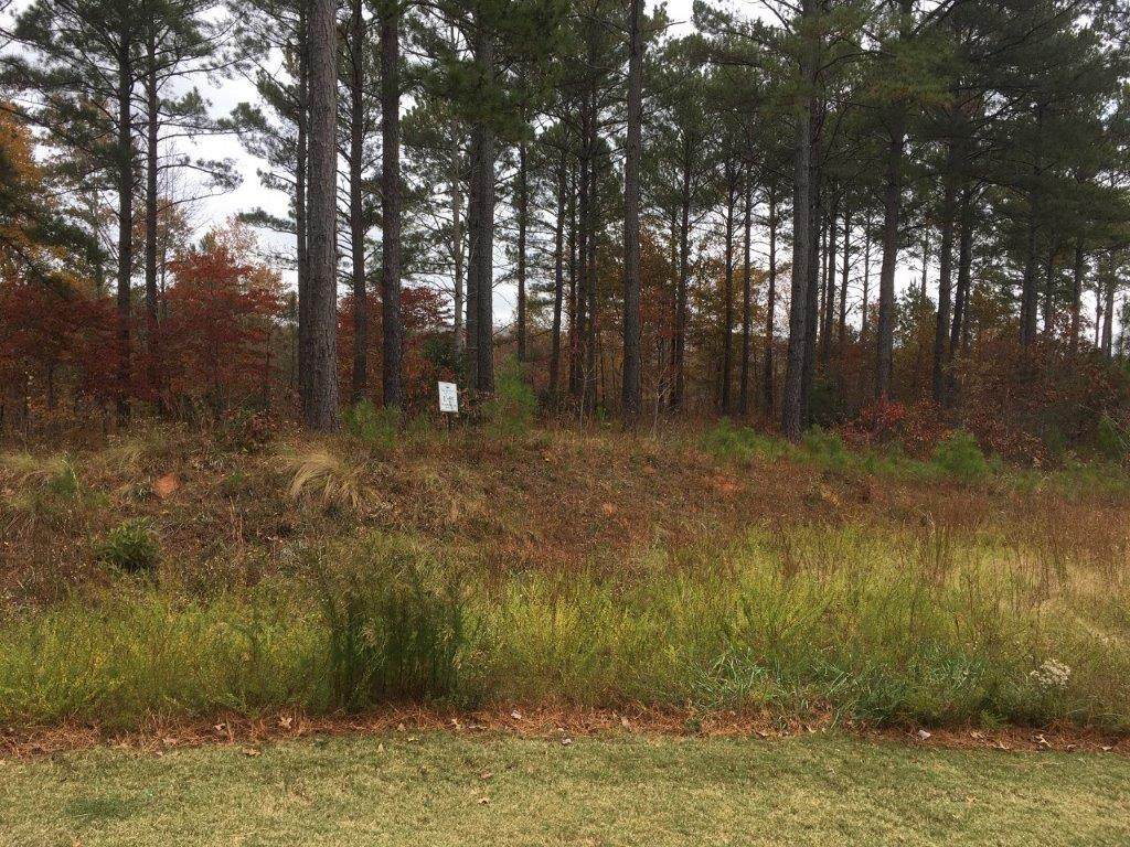 317 Golden Bear - Photo 1