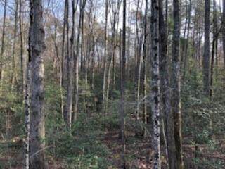 166 Bailey Brown Road - Photo 1