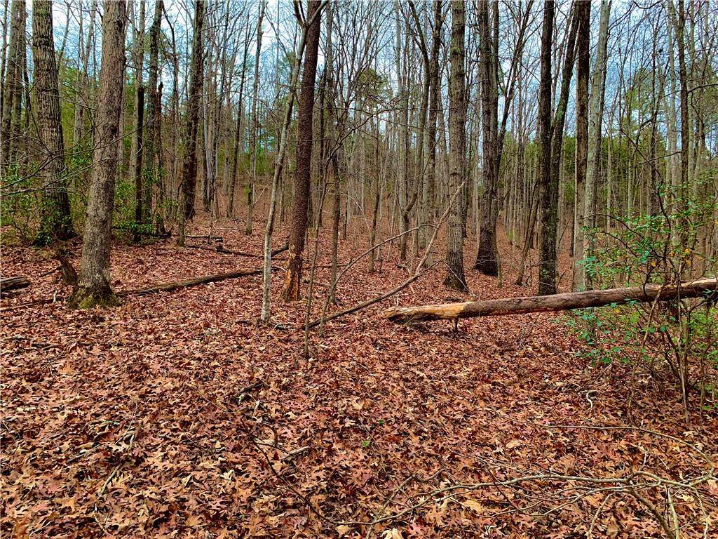 95 Painter Creek Road - Photo 1