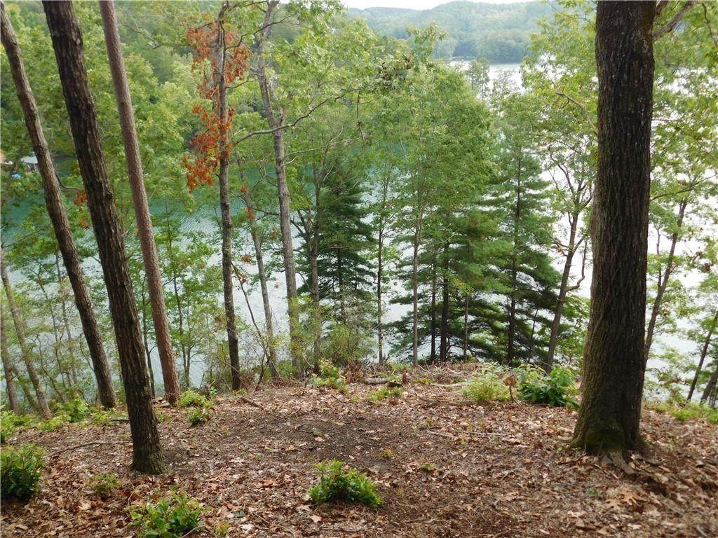 Lot 3 Bentwood Way - Photo 1