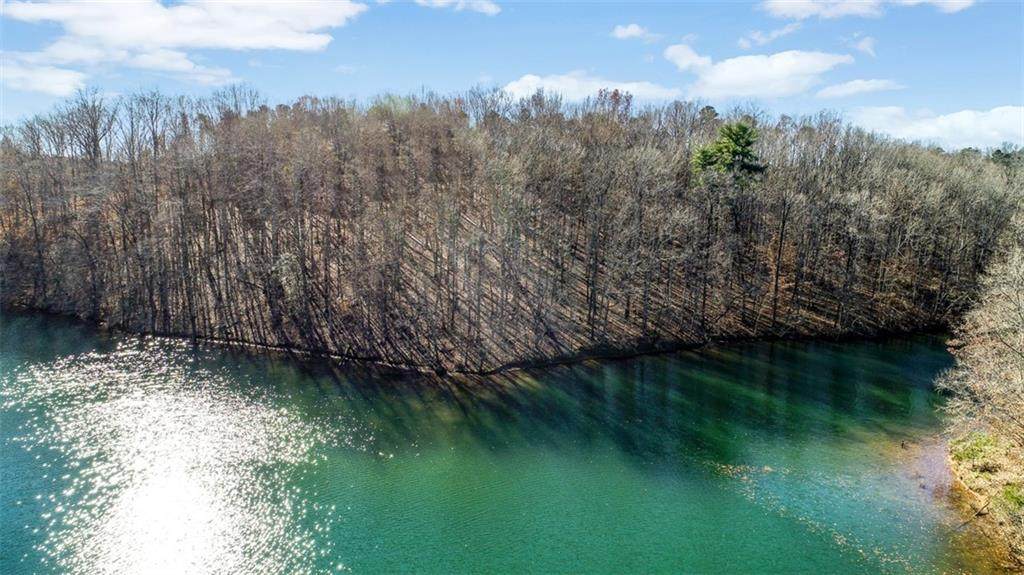 55 acres Knollwood Drive Drive - Photo 1