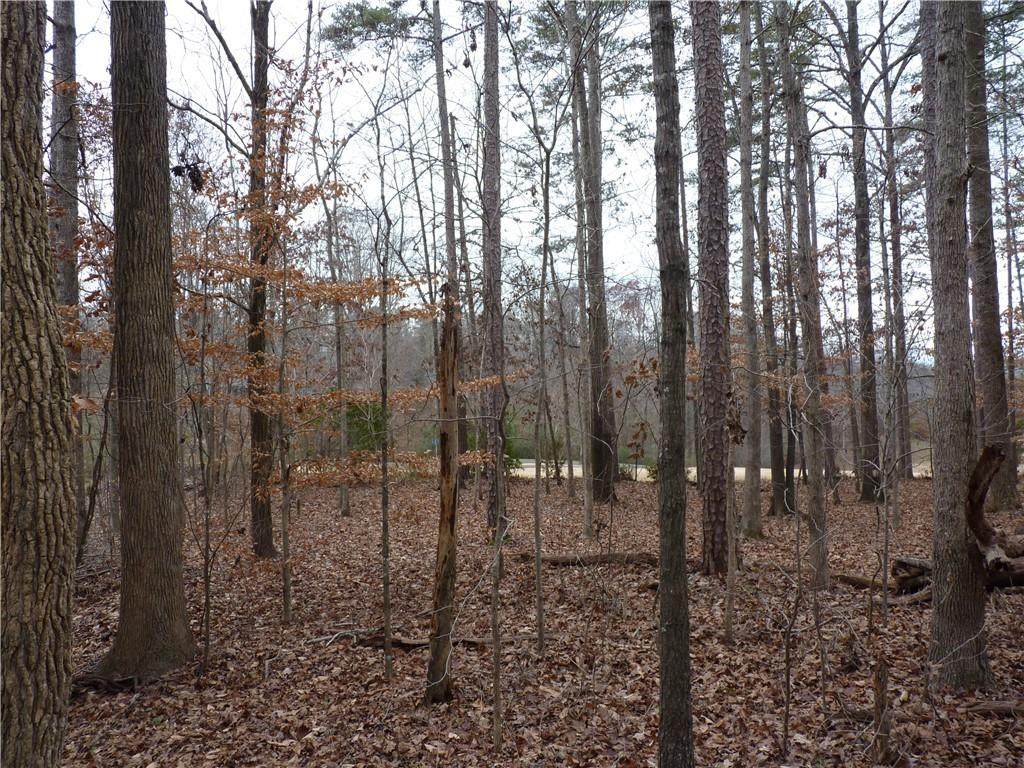 210 Hogan Drive - Photo 1