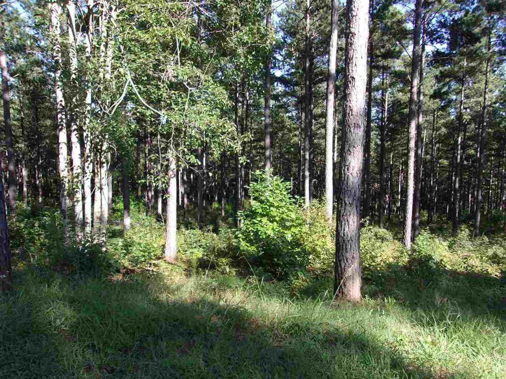 00 High Pines Drive - Photo 1