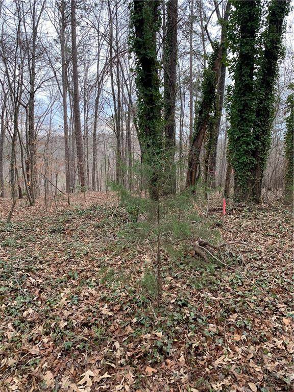 00 Bridgeport Road - Photo 1