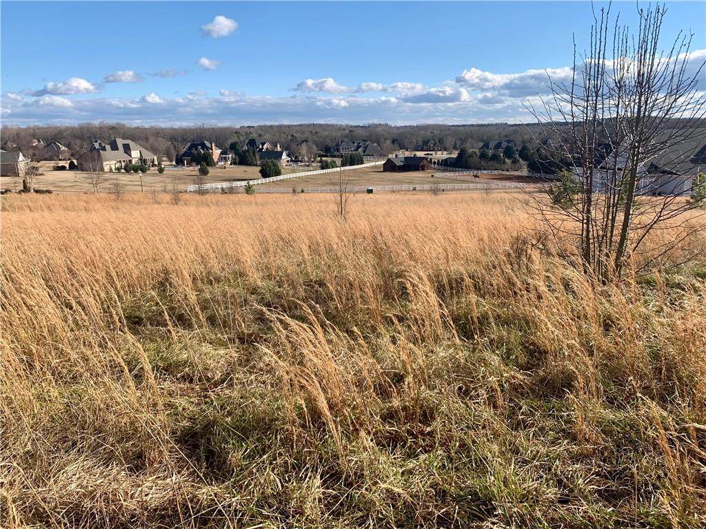 208 Chestnut Springs Way - Photo 1