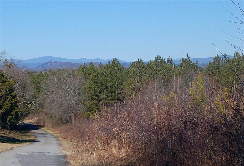 Tract 1 Belle Shoals Road - Photo 1