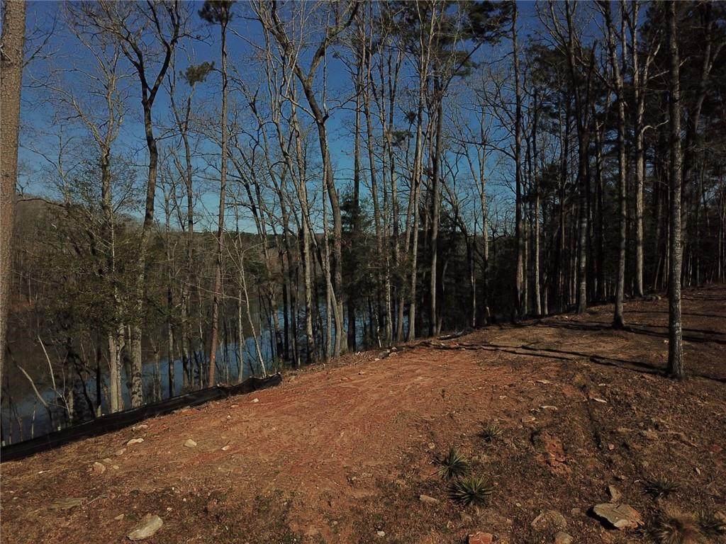 Lot 50 Clear Pointe Trail - Photo 1