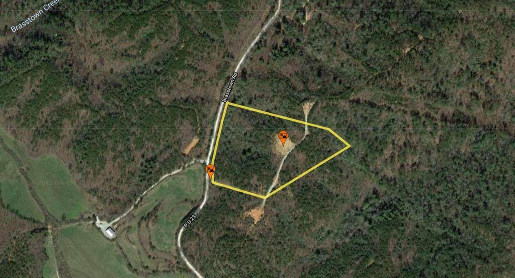 0 Brasstown Road - Photo 1