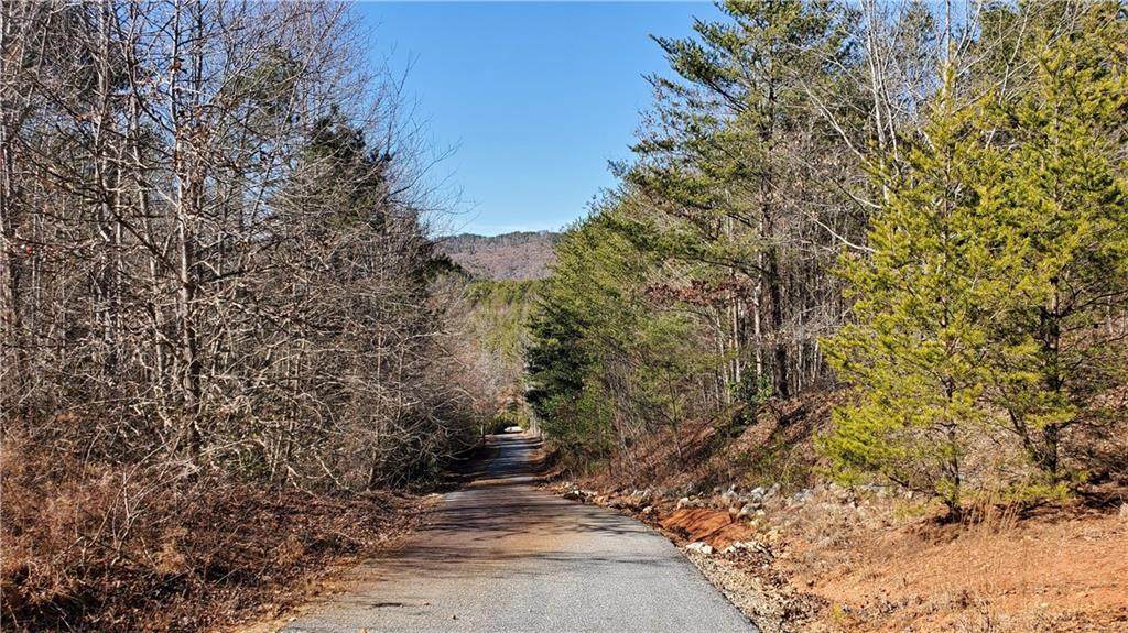 0 Brasstown Road - Photo 1