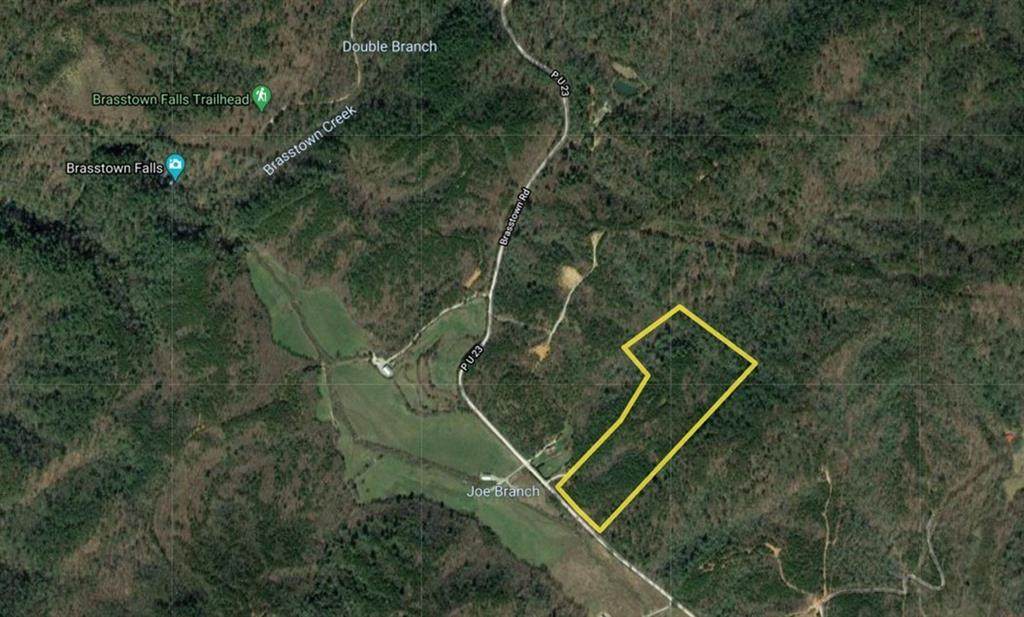 0 Brasstown Road - Photo 1