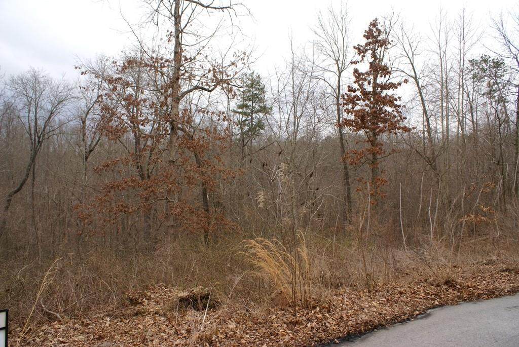 Lot 18 Serria Way - Photo 1