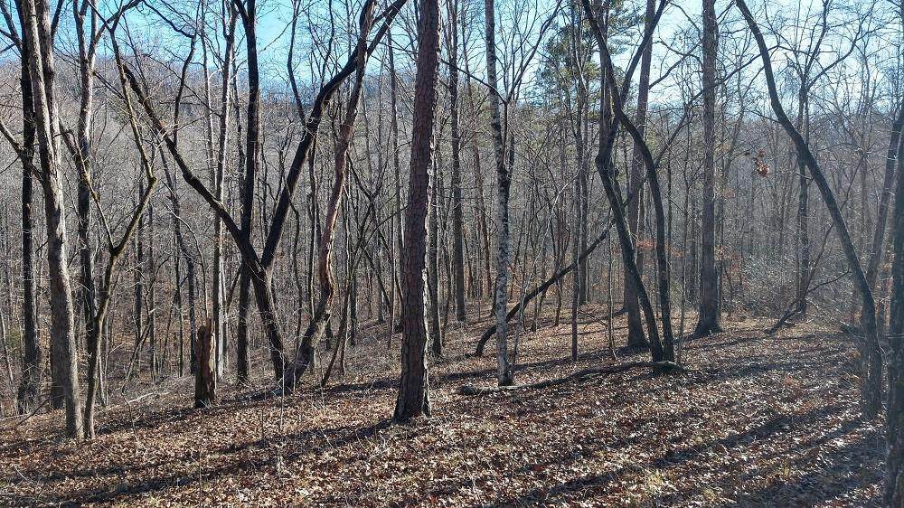 208 & 214 Julie Way - Photo 1