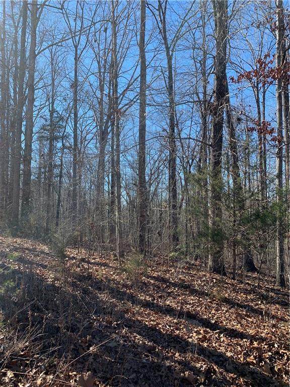 115 Ivy Woods Drive - Photo 1