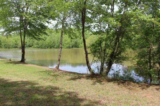 Lot 19 Hunters Trail - Photo 1