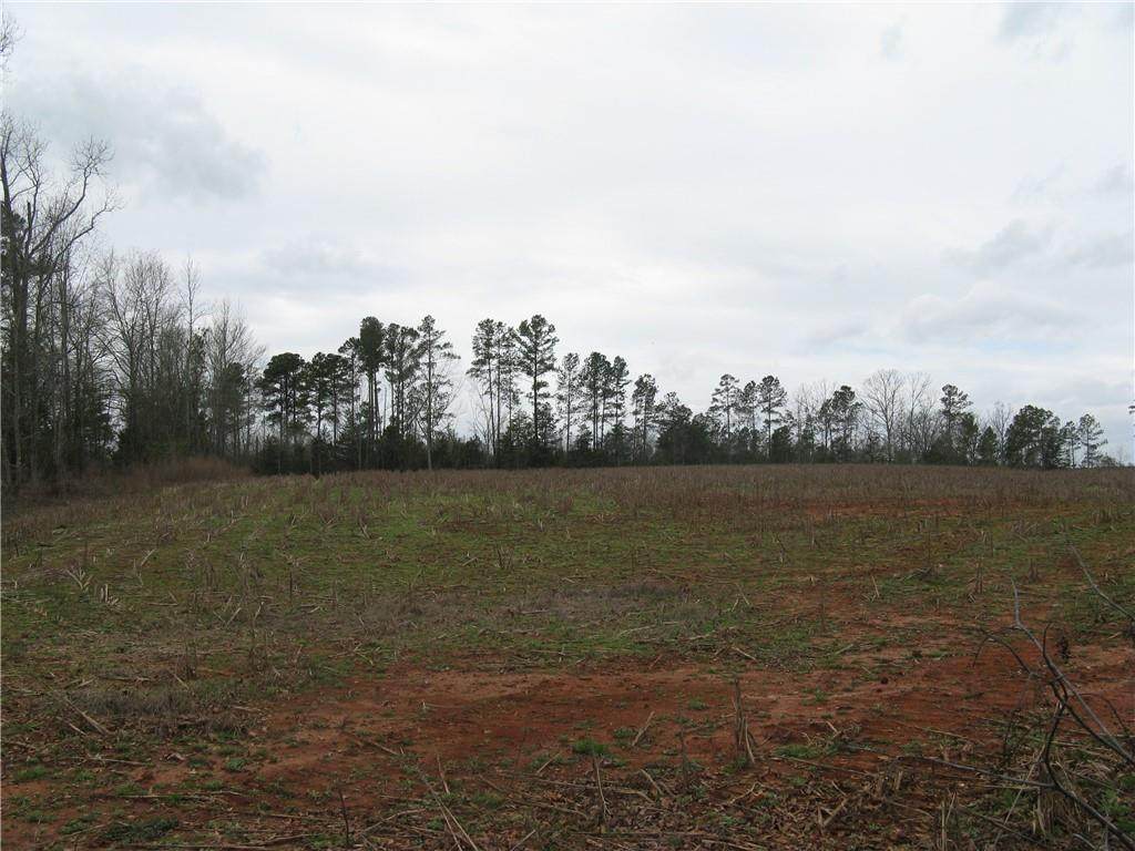 6.30 Acres Brown Road - Photo 1