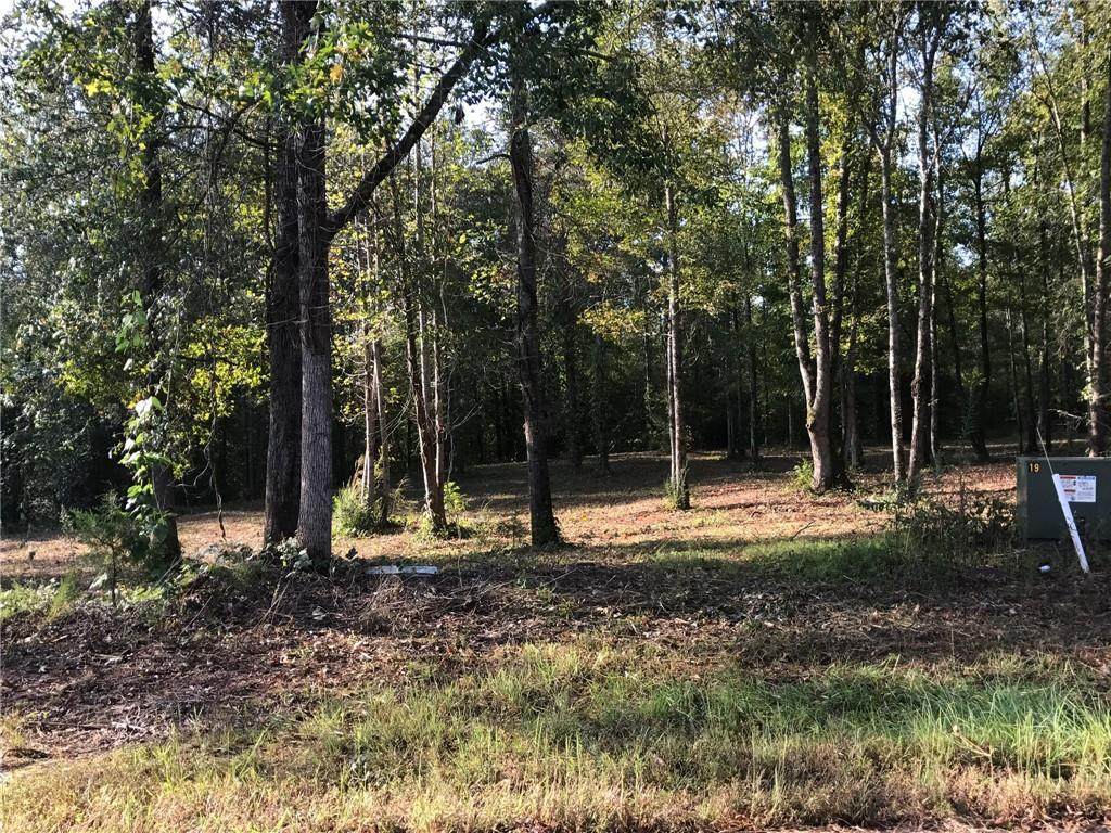 lot 32 Twin View Court - Photo 1