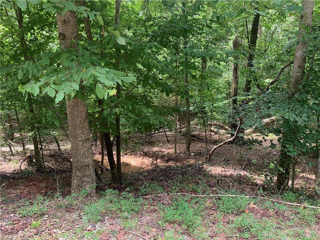 Lot 1783 Manitowoc Drive - Photo 1