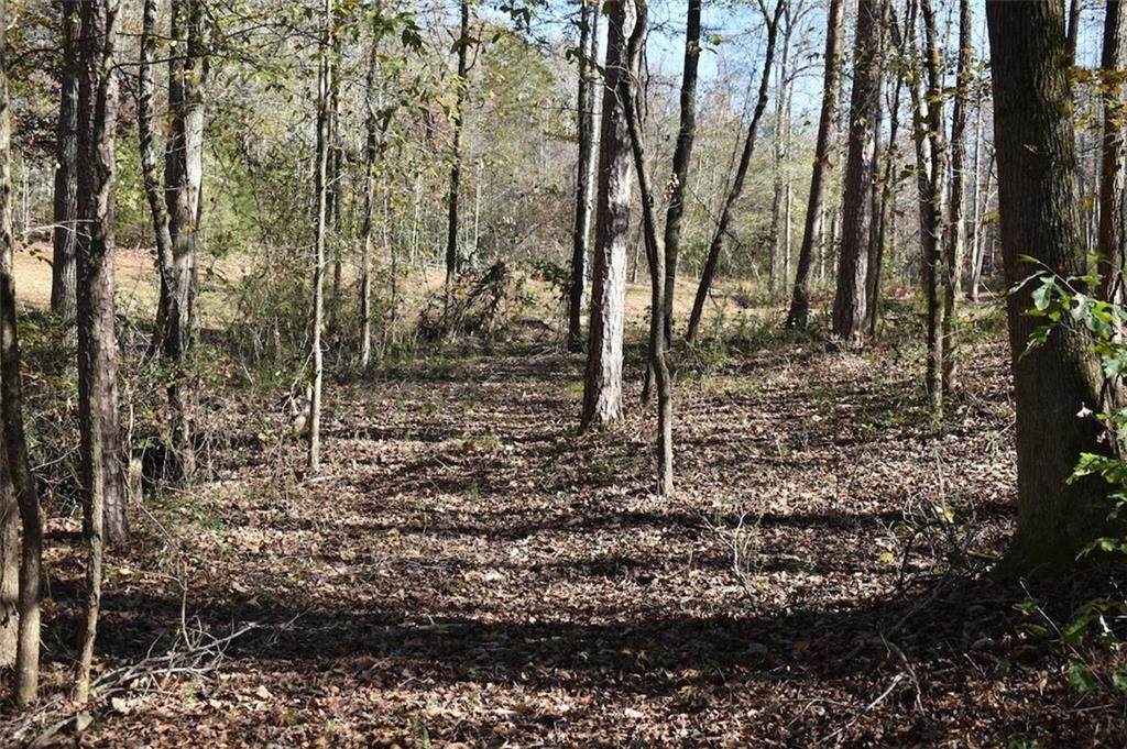 00 Fishers Cove Road - Photo 1