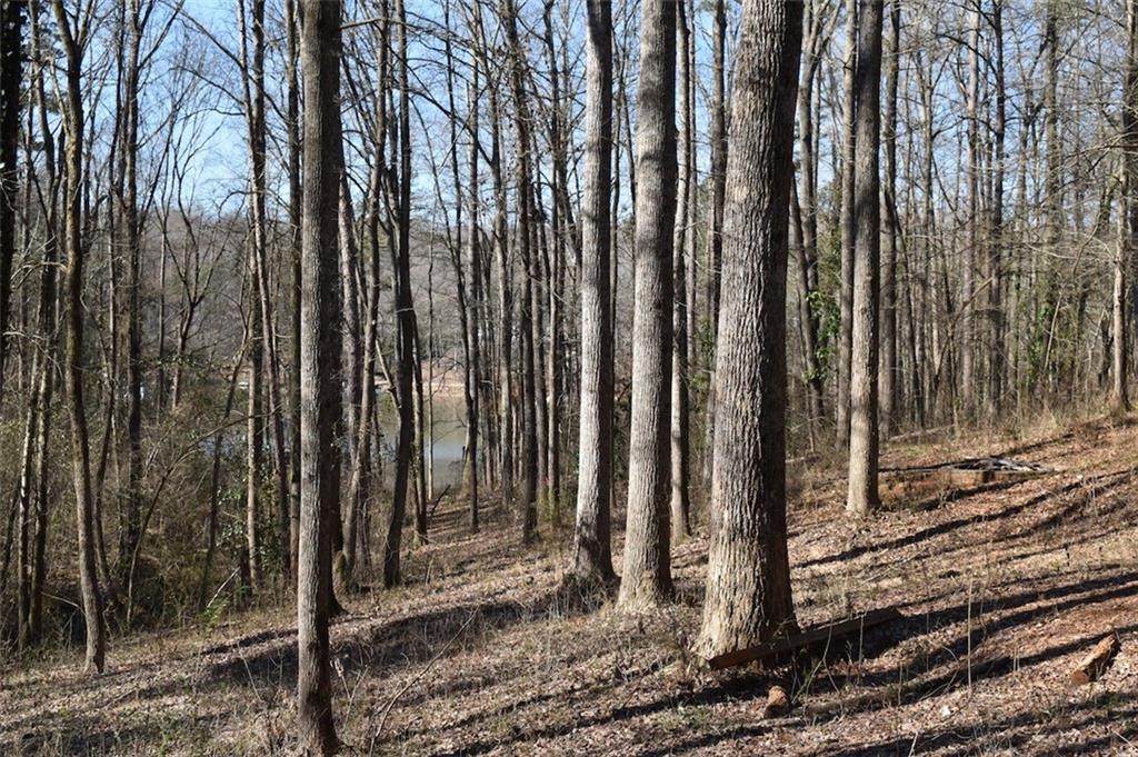 00 Dogwood Lane - Photo 1