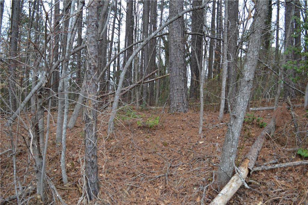 4632 Old Mill Road - Photo 1