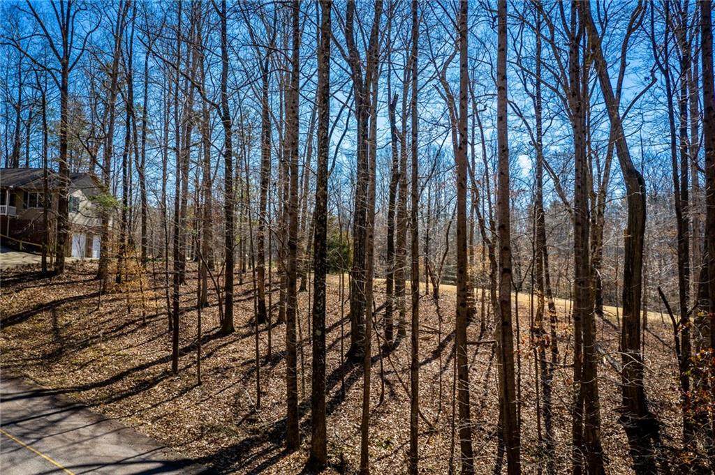 Lot 1074 Hogan Drive - Photo 1