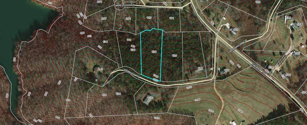 126 Keowee Trail - Photo 1