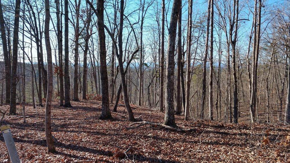 Lot 81 Sawyer Way - Photo 1