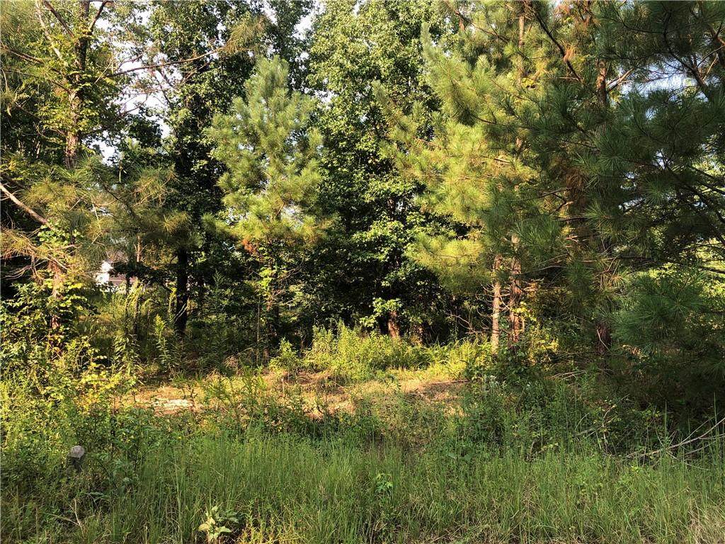 lot 60 Twin View Drive - Photo 1