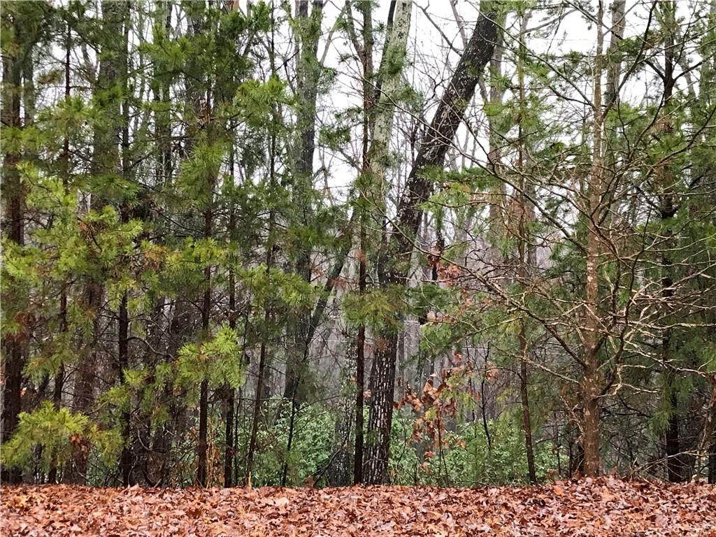 304 Laurel Valley Way - Photo 1