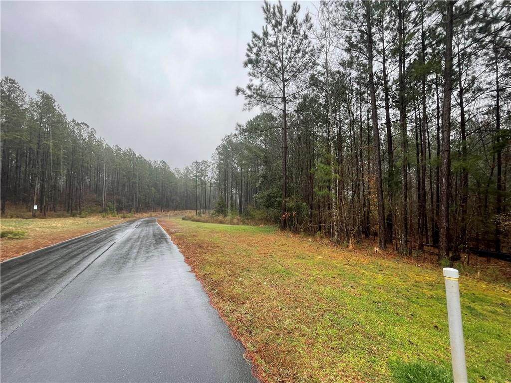 Lot 85 Peninsula Pines Drive - Photo 1