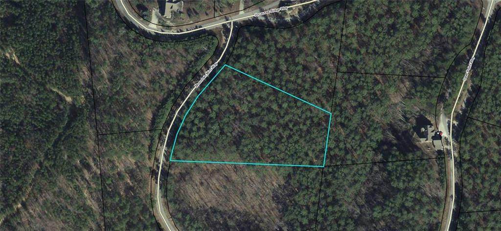 00 Mountain Mint Way - Photo 1