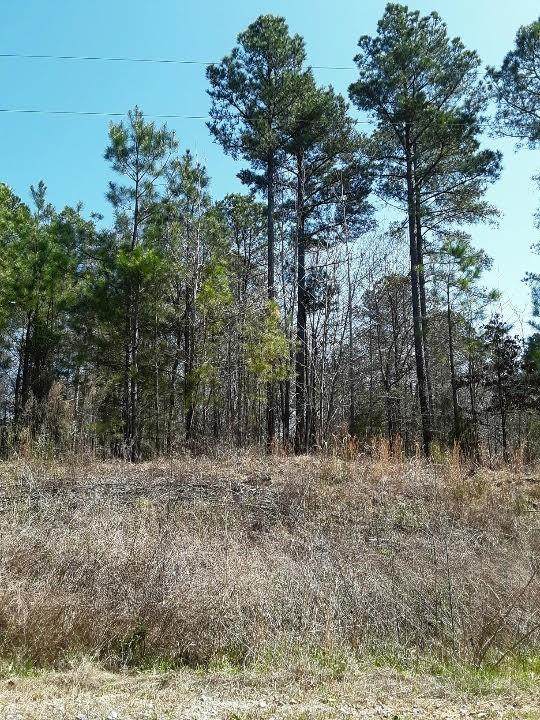 209 Wilson Creek Drive - Photo 1