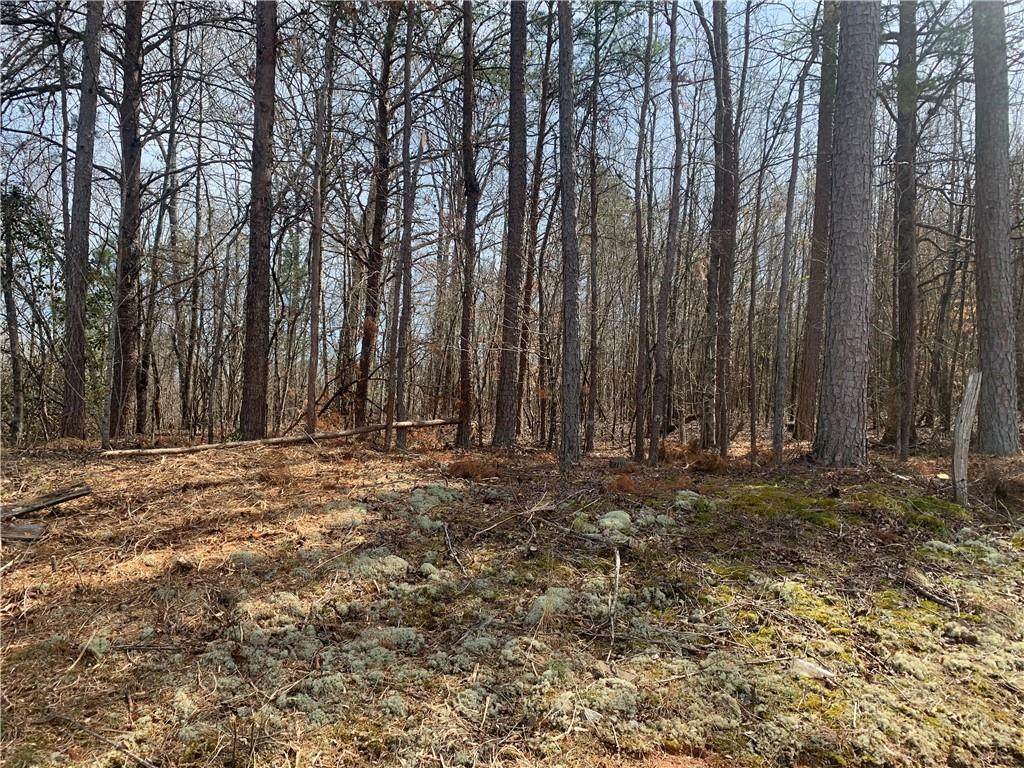 .92 Acre Coffee Road - Photo 1
