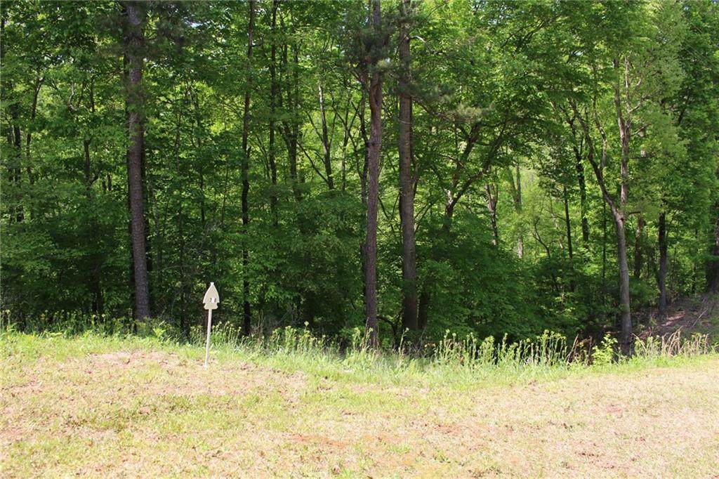00 Hogan Drive - Photo 1