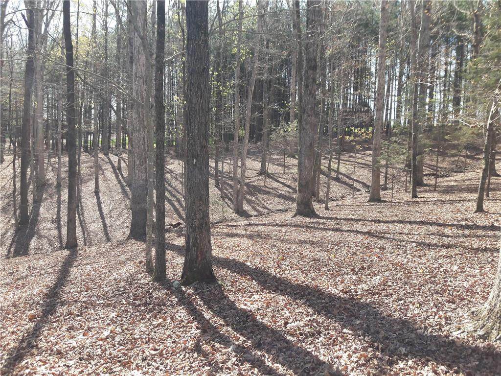 00 Oak Hollow Court - Photo 1