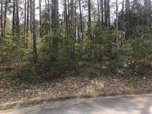 Lot 52 Beacon Ridge Drive - Photo 1
