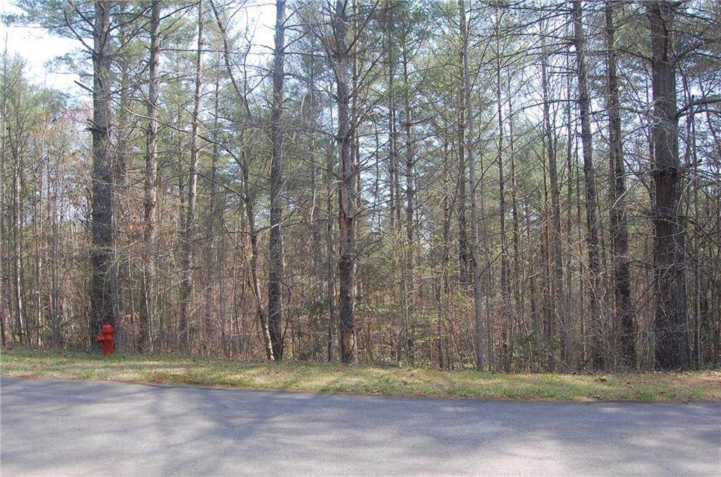 Lot 19 Vineyard Park - Photo 1