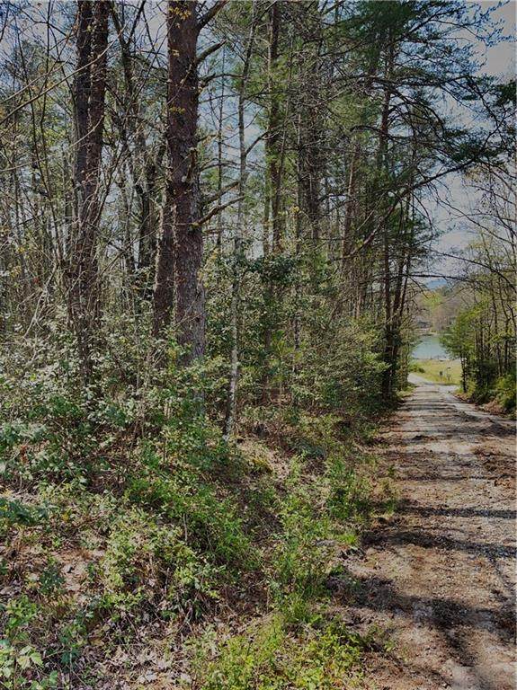 Lot 80 Lake Cherokee - Photo 1