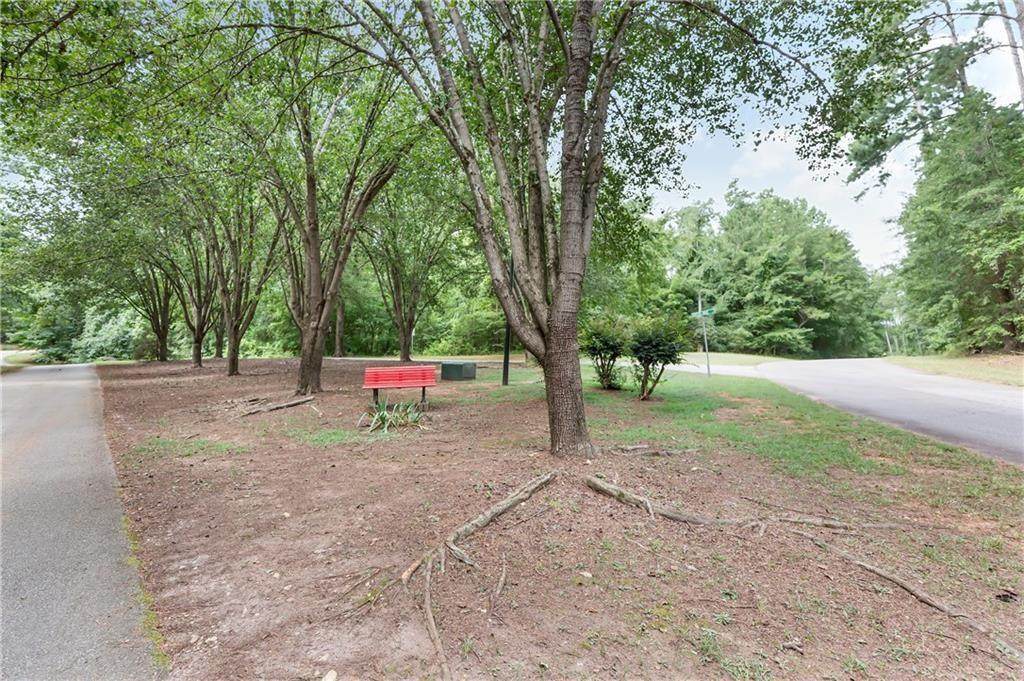 Lt 30 Cleveland Ferry Road - Photo 1