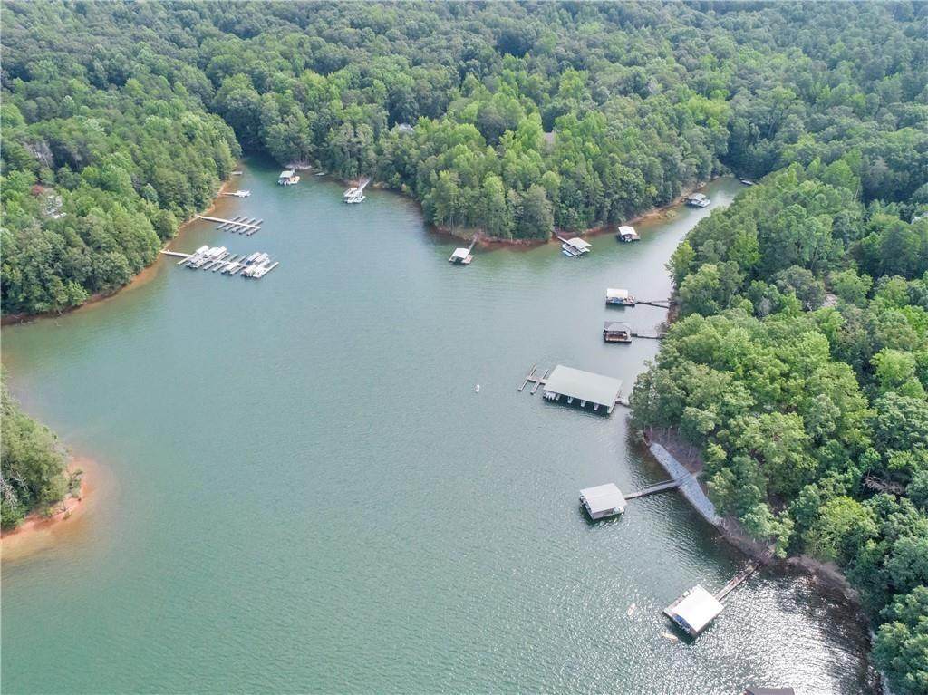 Lt 31 Cleveland Ferry Road - Photo 1