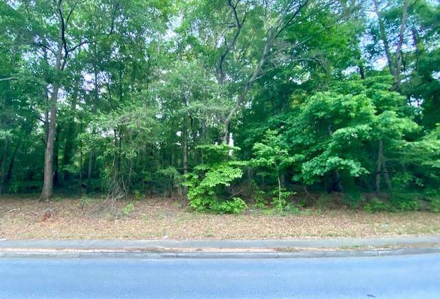 Lot 1 & Pt 2 Greenville Street - Photo 1