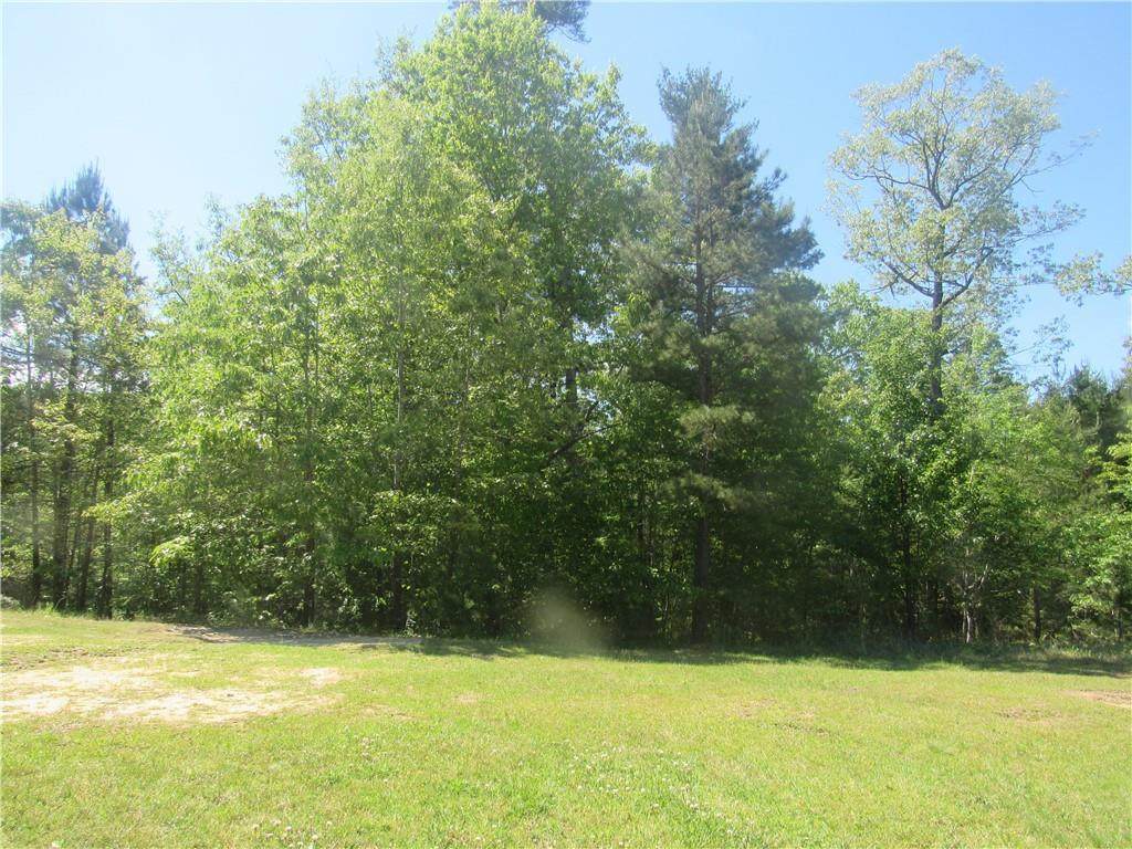 110 Trout Lily Lane - Photo 1
