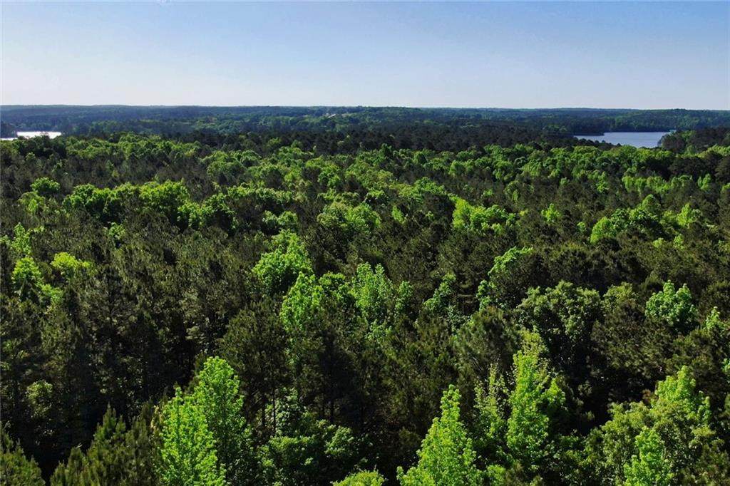 00 Hwy 81 - Photo 1