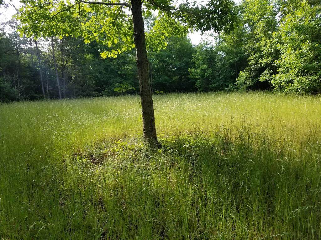 32.61 Acres Rock Hill Road - Photo 1